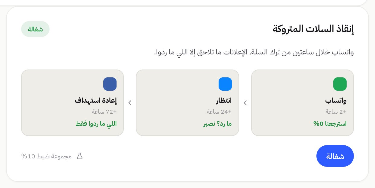 أتمتة إنقاذ السلات المتروكة في رايز كارت مع مجموعة مقارنة 10%