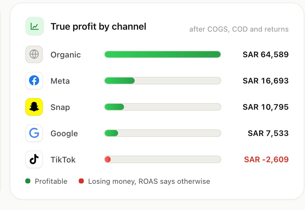 Rizecart's true profit by channel: TikTok flagged as losing money despite its ROAS