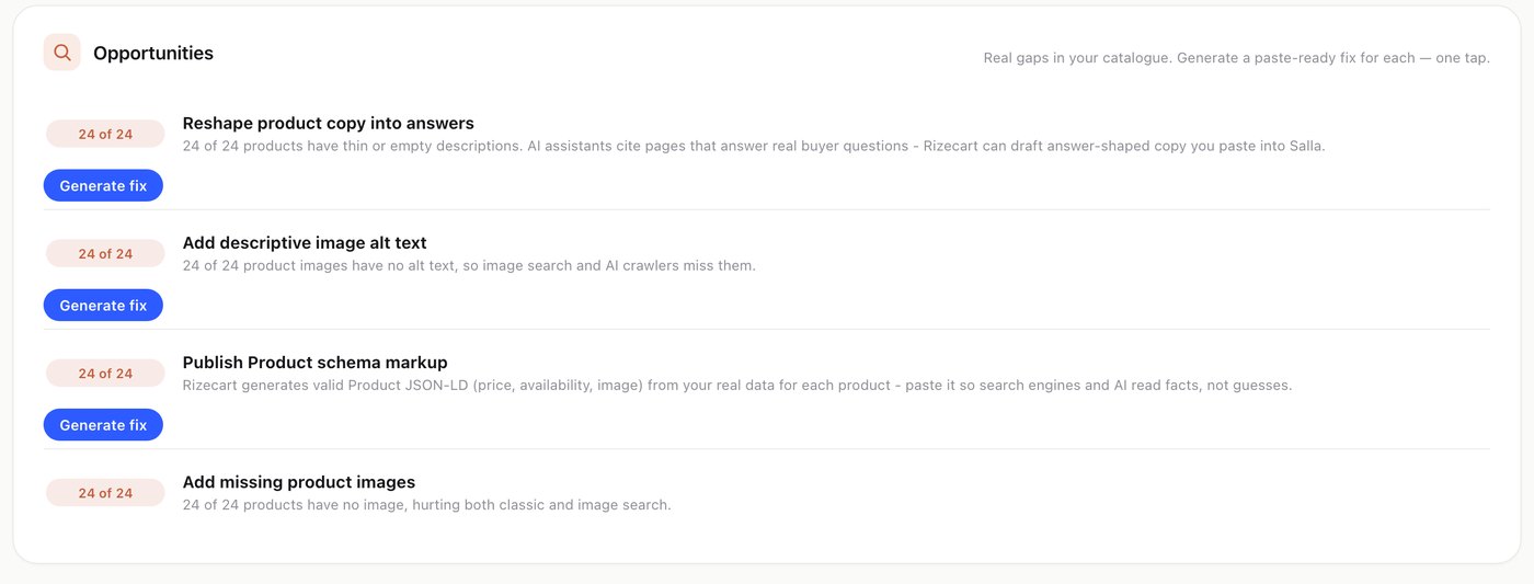 Rizecart's Be the Answer opportunities, each with a one-tap Generate fix
